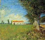 Vincent Van Gogh Wall Art - Farmhouses in a Wheat Field